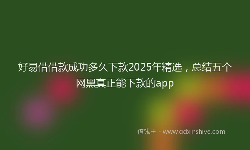 好易借借款成功多久下款2025年精选，总结五个网黑真正能下款的app