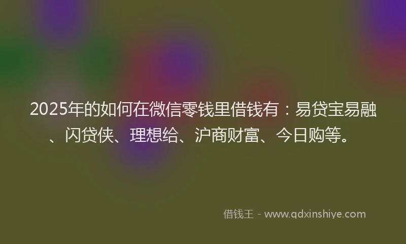 2025年的如何在微信零钱里借钱有：易贷宝易融、闪贷侠、理想给、沪商财富、今日购等。