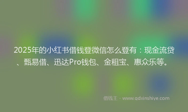 2025年的小红书借钱登微信怎么登有：现金流贷、甄易借、迅达Pro钱包、金租宝、惠众乐等。