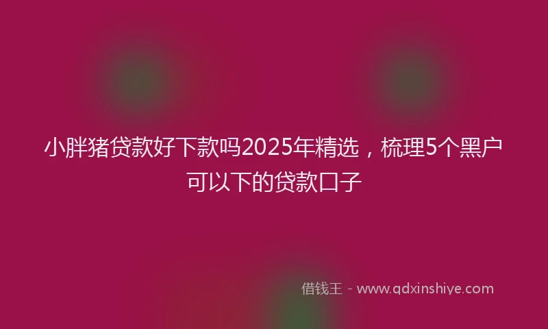 小胖猪贷款好下款吗2025年精选，梳理5个黑户可以下的贷款口子