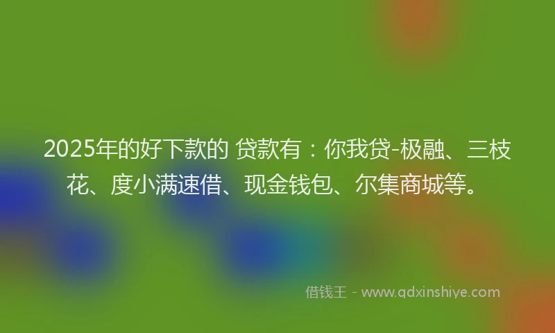 2025年的好下款的 贷款有：你我贷-极融、三枝花、度小满速借、现金钱包、尔集商城等。