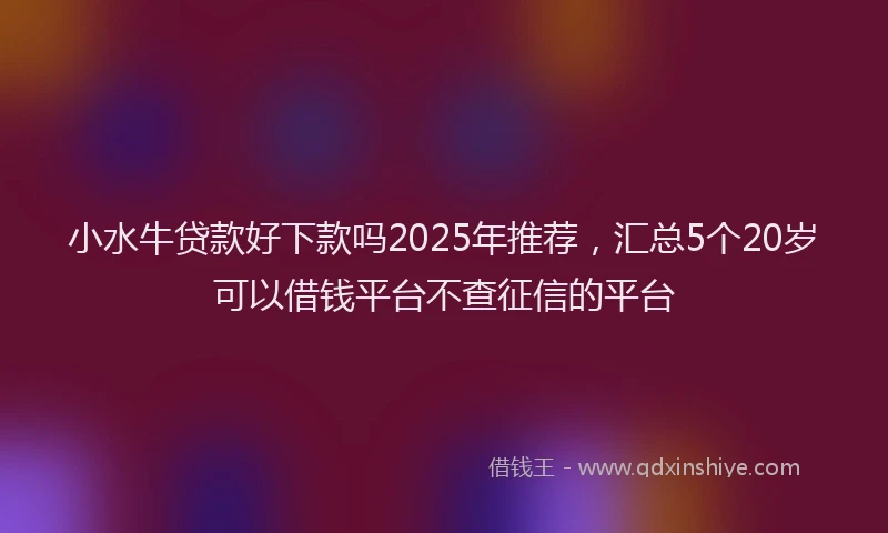 小水牛贷款好下款吗2025年推荐，汇总5个20岁可以借钱平台不查征信的平台