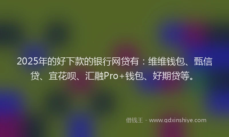 2025年的好下款的银行网贷有：维维钱包、甄信贷、宜花呗、汇融Pro+钱包、好期贷等。