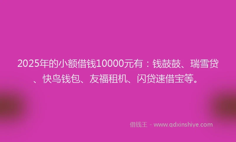 2025年的小额借钱10000元有：钱鼓鼓、瑞雪贷、快鸟钱包、友福租机、闪贷速借宝等。