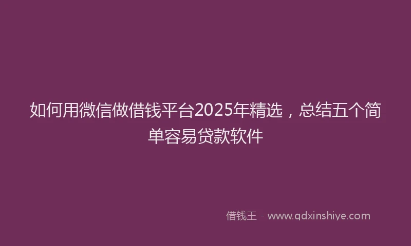 如何用微信做借钱平台2025年精选，总结五个简单容易贷款软件