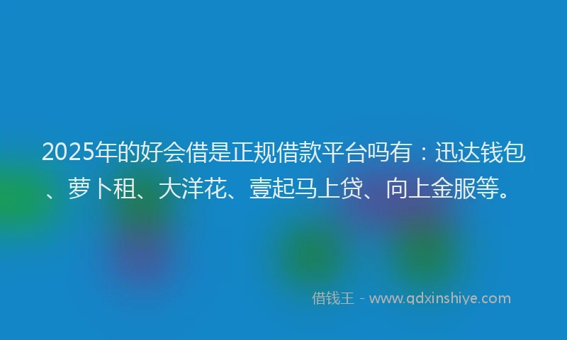 2025年的好会借是正规借款平台吗有：迅达钱包、萝卜租、大洋花、壹起马上贷、向上金服等。