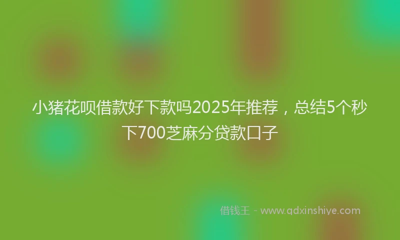 小猪花呗借款好下款吗2025年推荐，总结5个秒下700芝麻分贷款口子