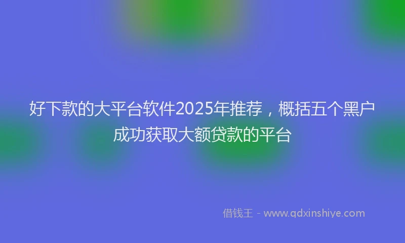 好下款的大平台软件2025年推荐，概括五个黑户成功获取大额贷款的平台