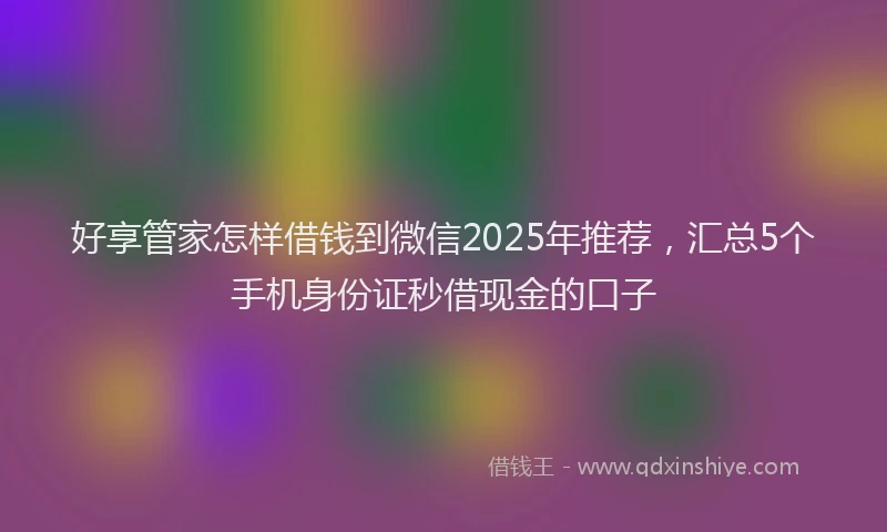 好享管家怎样借钱到微信2025年推荐，汇总5个手机身份证秒借现金的口子