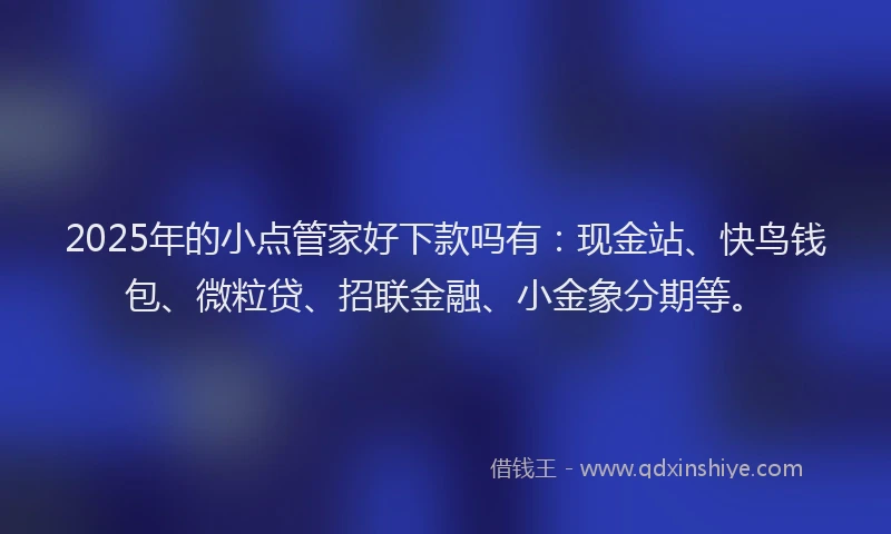 2025年的小点管家好下款吗有：现金站、快鸟钱包、微粒贷、招联金融、小金象分期等。