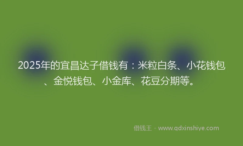 2025年的宜昌达子借钱有：米粒白条、小花钱包、金悦钱包、小金库、花豆分期等。