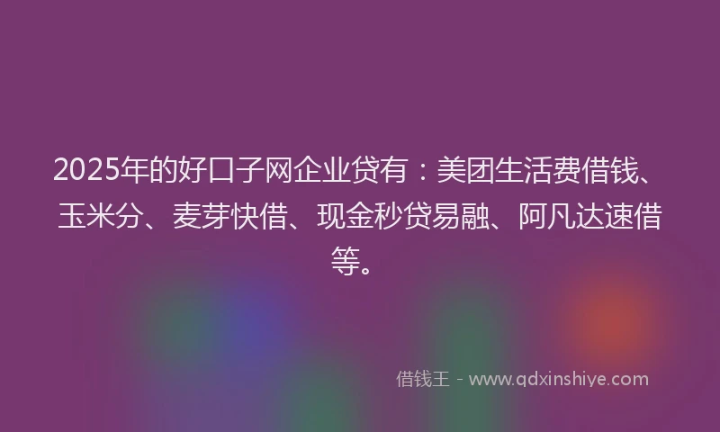 2025年的好口子网企业贷有：美团生活费借钱、玉米分、麦芽快借、现金秒贷易融、阿凡达速借等。