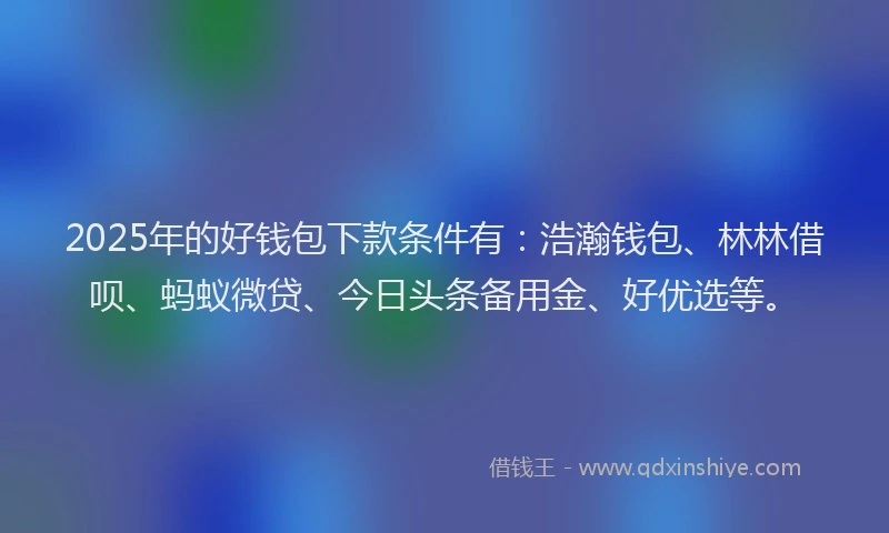 2025年的好钱包下款条件有：浩瀚钱包、林林借呗、蚂蚁微贷、今日头条备用金、好优选等。