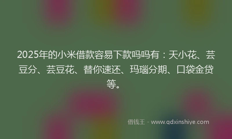 2025年的小米借款容易下款吗吗有：天小花、芸豆分、芸豆花、替你速还、玛瑙分期、口袋金贷等。