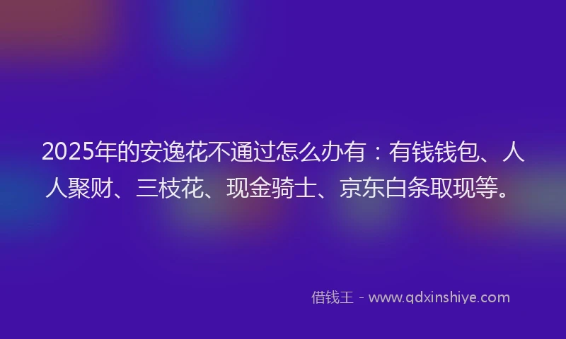 2025年的安逸花不通过怎么办有：有钱钱包、人人聚财、三枝花、现金骑士、京东白条取现等。