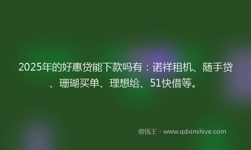2025年的好惠贷能下款吗有：诺祥租机、随手贷、珊瑚买单、理想给、51快借等。