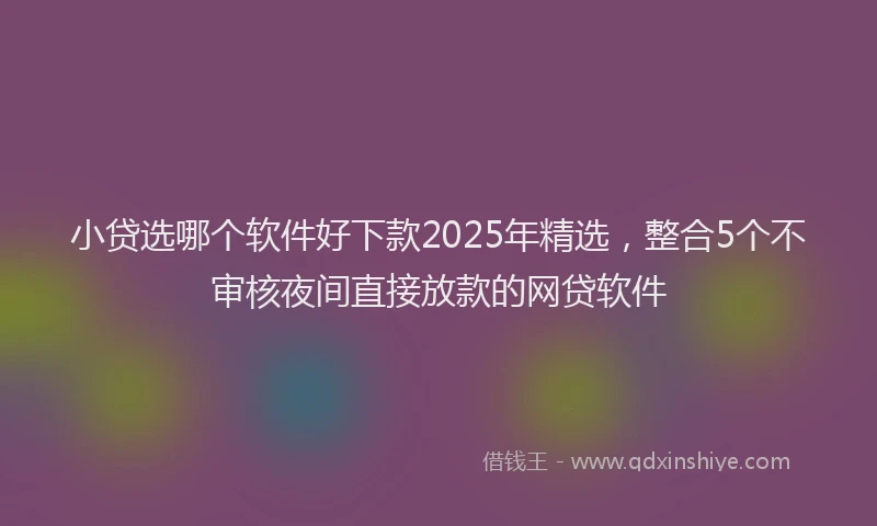 小贷选哪个软件好下款2025年精选，整合5个不审核夜间直接放款的网贷软件