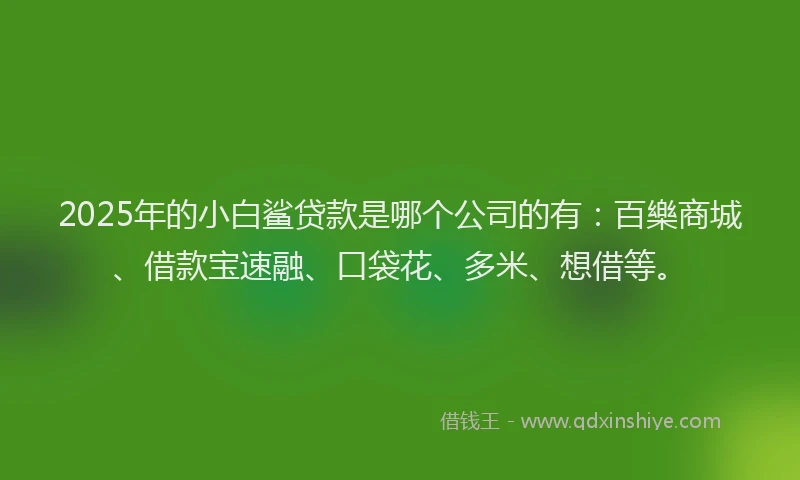 2025年的小白鲨贷款是哪个公司的有：百樂商城、借款宝速融、口袋花、多米、想借等。