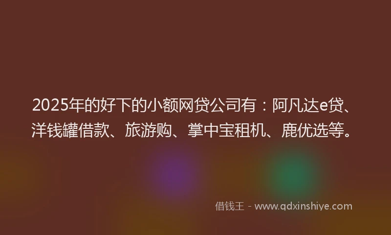 2025年的好下的小额网贷公司有：阿凡达e贷、洋钱罐借款、旅游购、掌中宝租机、鹿优选等。