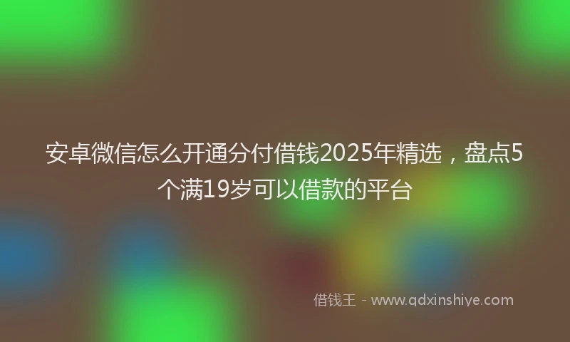 安卓微信怎么开通分付借钱2025年精选，盘点5个满19岁可以借款的平台
