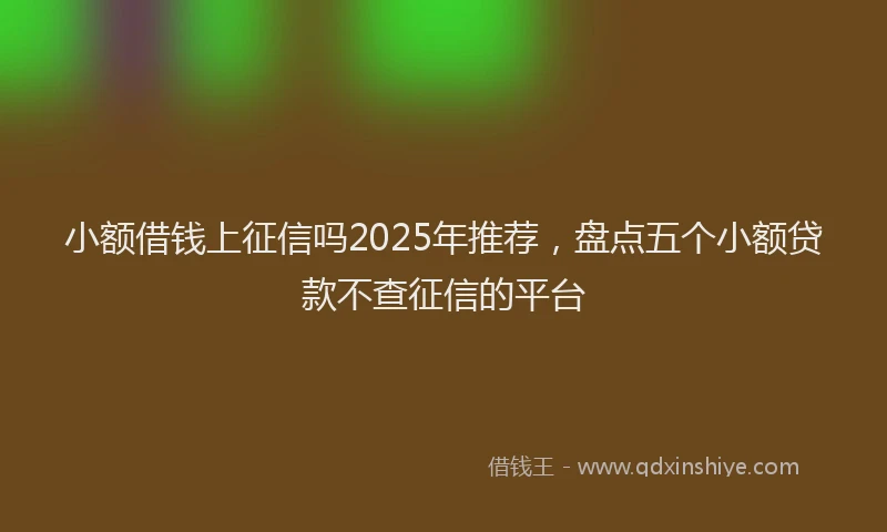小额借钱上征信吗2025年推荐，盘点五个小额贷款不查征信的平台
