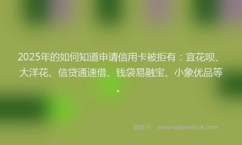2025年的如何知道申请信用卡被拒有：宜花呗、大洋花、信贷通速借、钱袋易融宝、小象优品等。