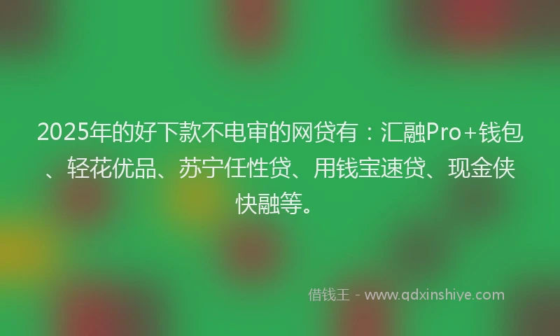 2025年的好下款不电审的网贷有：汇融Pro+钱包、轻花优品、苏宁任性贷、用钱宝速贷、现金侠快融等。