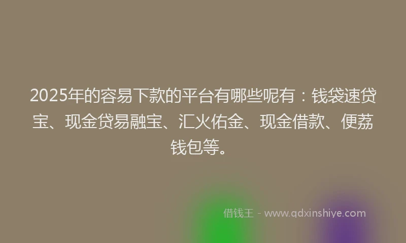 2025年的容易下款的平台有哪些呢有：钱袋速贷宝、现金贷易融宝、汇火佑金、现金借款、便荔钱包等。