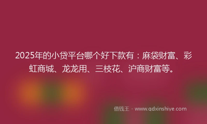 2025年的小贷平台哪个好下款有：麻袋财富、彩虹商城、龙龙用、三枝花、沪商财富等。