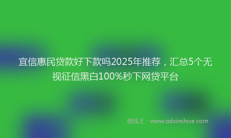 宜信惠民贷款好下款吗2025年推荐，汇总5个无视征信黑白100%秒下网贷平台