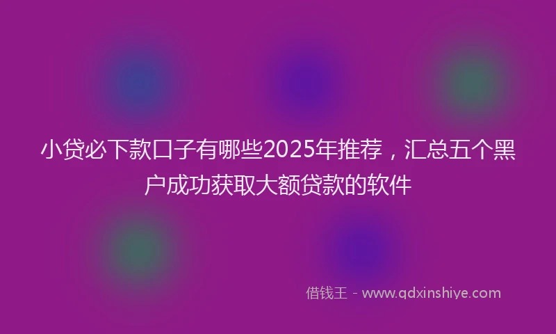 小贷必下款口子有哪些2025年推荐，汇总五个黑户成功获取大额贷款的软件