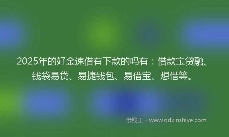 2025年的好金速借有下款的吗有：借款宝贷融、钱袋易贷、易捷钱包、易借宝、想借等。