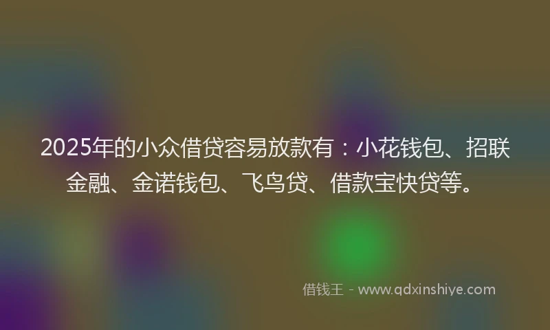 2025年的小众借贷容易放款有：小花钱包、招联金融、金诺钱包、飞鸟贷、借款宝快贷等。