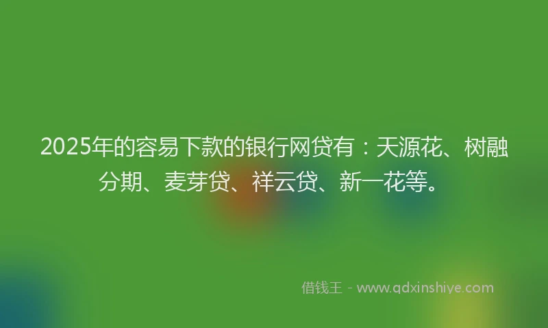 2025年的容易下款的银行网贷有：天源花、树融分期、麦芽贷、祥云贷、新一花等。