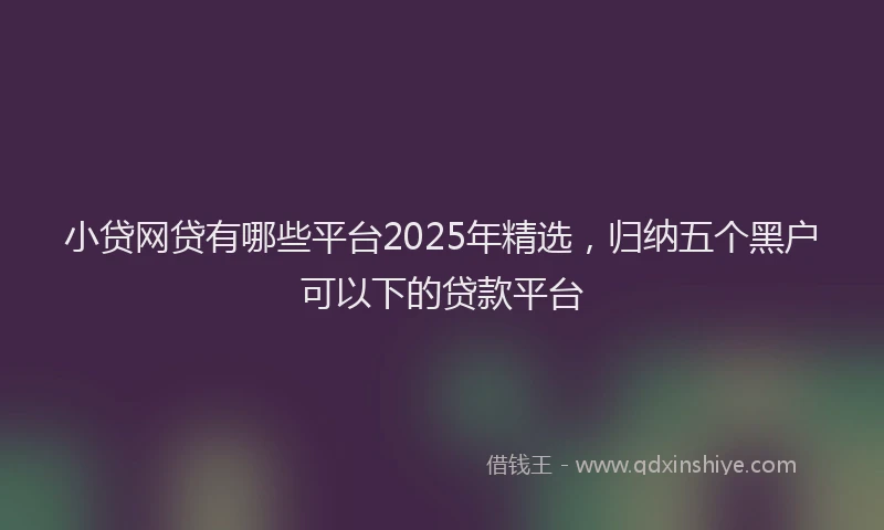 小贷网贷有哪些平台2025年精选，归纳五个黑户可以下的贷款平台