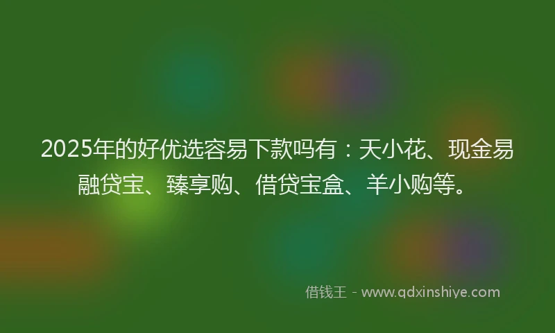 2025年的好优选容易下款吗有：天小花、现金易融贷宝、臻享购、借贷宝盒、羊小购等。