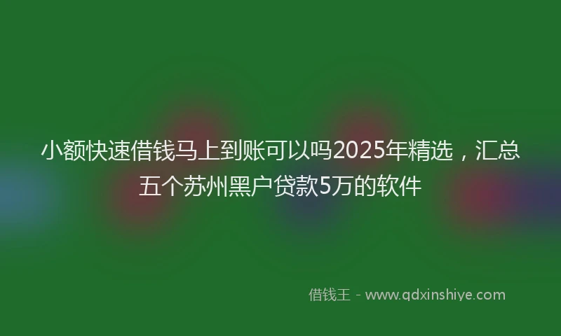 小额快速借钱马上到账可以吗2025年精选，汇总五个苏州黑户贷款5万的软件