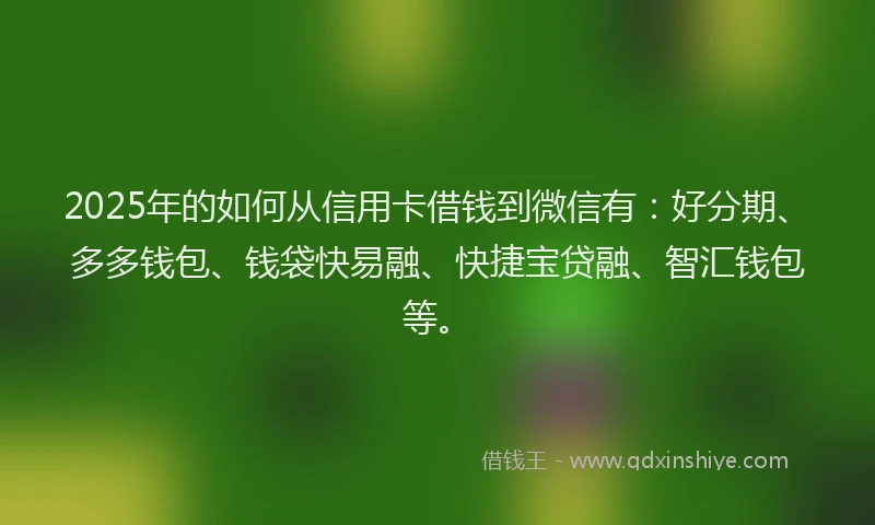 2025年的如何从信用卡借钱到微信有：好分期、多多钱包、钱袋快易融、快捷宝贷融、智汇钱包等。