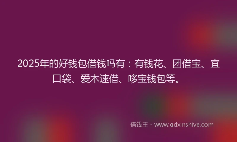 2025年的好钱包借钱吗有：有钱花、团借宝、宜口袋、爱木速借、哆宝钱包等。