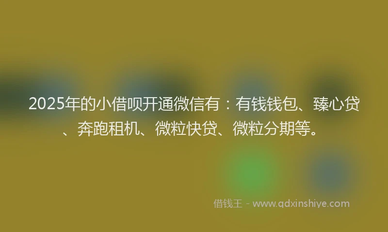 2025年的小借呗开通微信有：有钱钱包、臻心贷、奔跑租机、微粒快贷、微粒分期等。