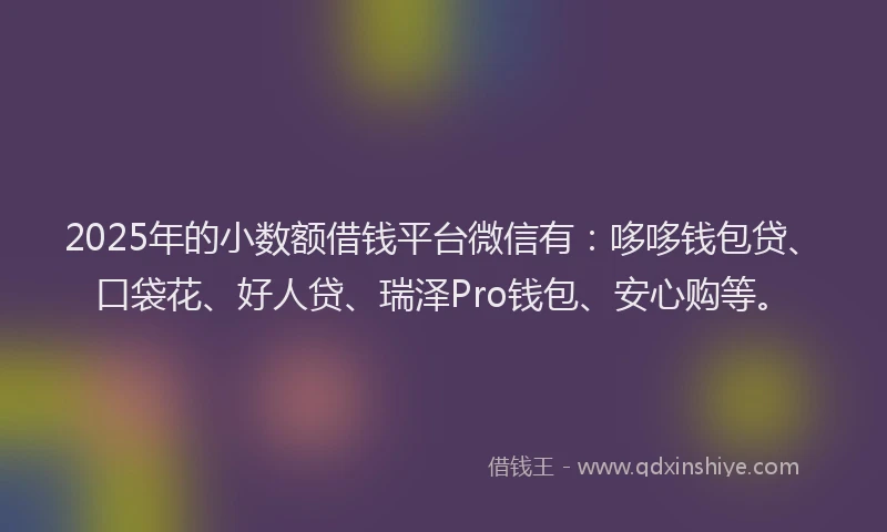 2025年的小数额借钱平台微信有:哆哆钱包贷、口袋花、好人贷、瑞泽Pro钱包、安心购等。