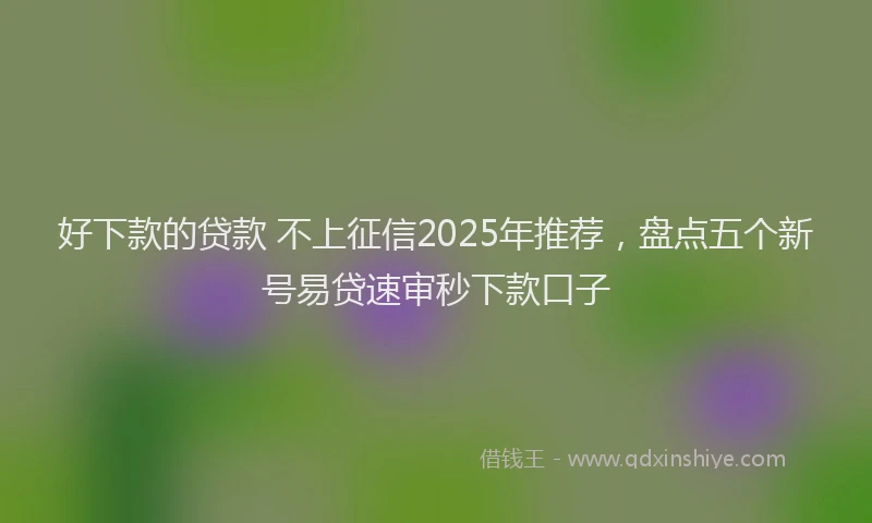 好下款的贷款 不上征信2025年推荐，盘点五个新号易贷速审秒下款口子