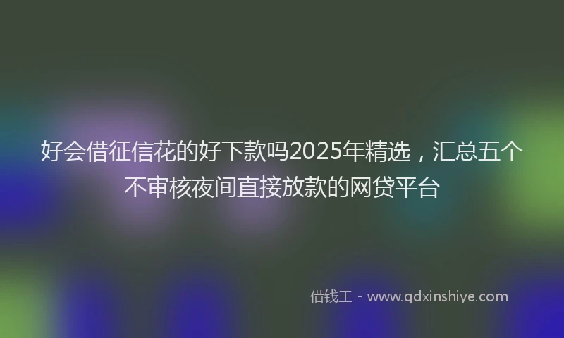 好会借征信花的好下款吗2025年精选，汇总五个不审核夜间直接放款的网贷平台