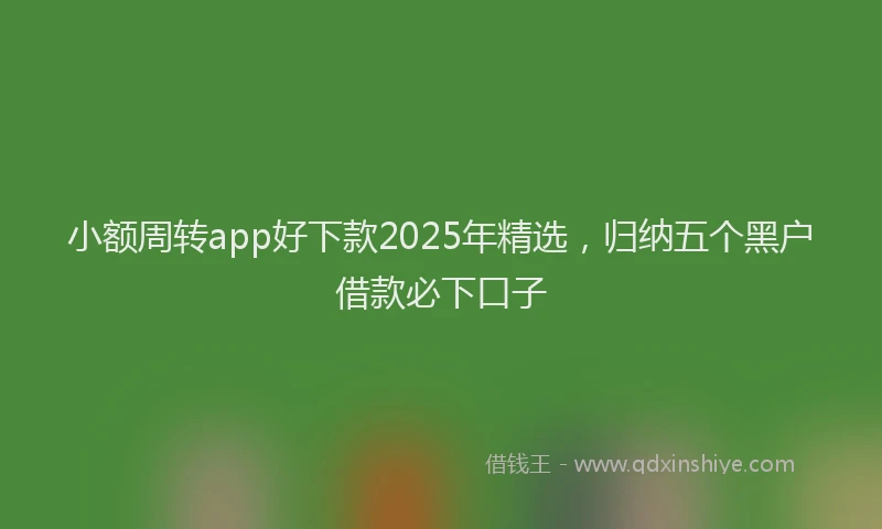 小额周转app好下款2025年精选，归纳五个黑户借款必下口子
