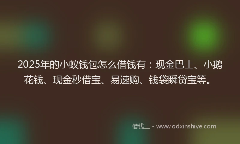 2025年的小蚁钱包怎么借钱有：现金巴士、小鹅花钱、现金秒借宝、易速购、钱袋瞬贷宝等。
