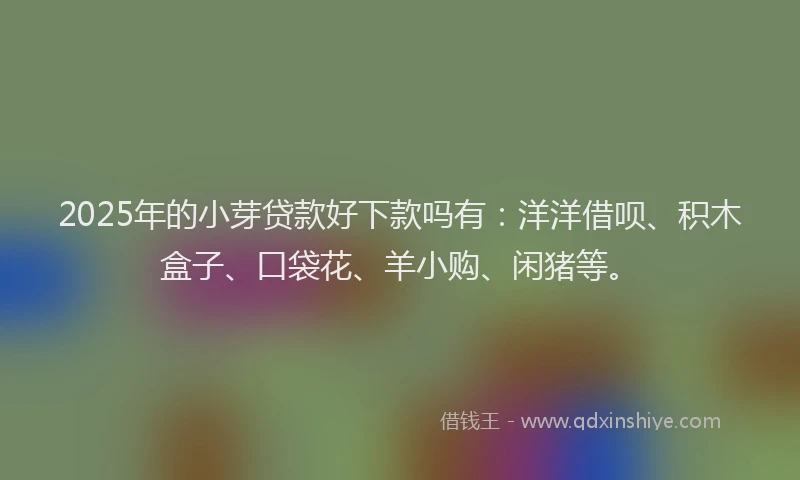 2025年的小芽贷款好下款吗有：洋洋借呗、积木盒子、口袋花、羊小购、闲猪等。