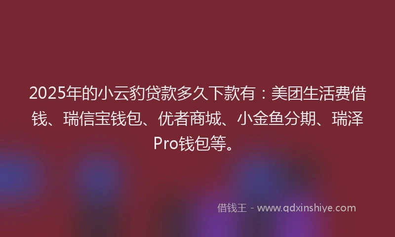 2025年的小云豹贷款多久下款有：美团生活费借钱、瑞信宝钱包、优者商城、小金鱼分期、瑞泽Pro钱包等。