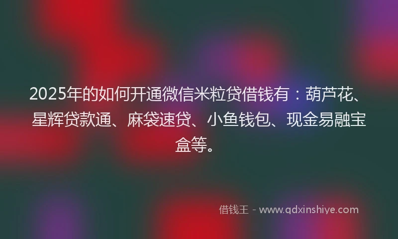 2025年的如何开通微信米粒贷借钱有：葫芦花、星辉贷款通、麻袋速贷、小鱼钱包、现金易融宝盒等。