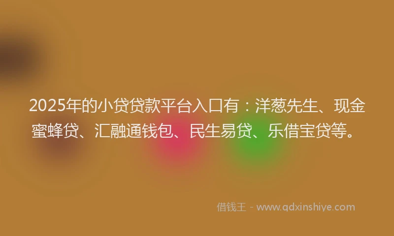 2025年的小贷贷款平台入口有：洋葱先生、现金蜜蜂贷、汇融通钱包、民生易贷、乐借宝贷等。