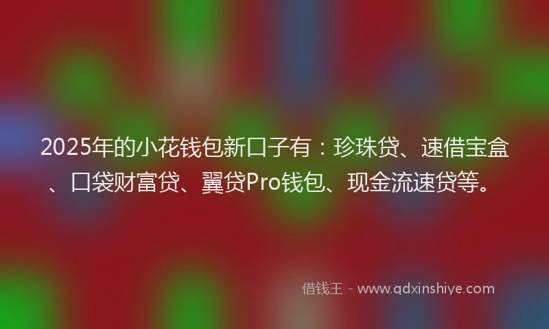 2025年的小花钱包新口子有：珍珠贷、速借宝盒、口袋财富贷、翼贷Pro钱包、现金流速贷等。
